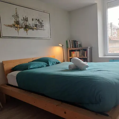 Le Grenier A Sel, Chaleureux 2 Chambres-centre-gare Appartement Reims